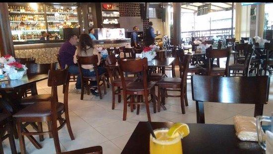 Raposa do Ártico Chopperia