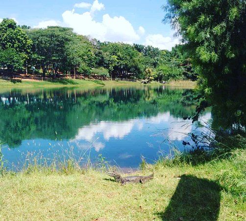 Parque Socioambiental Irmã Dorothy Stang