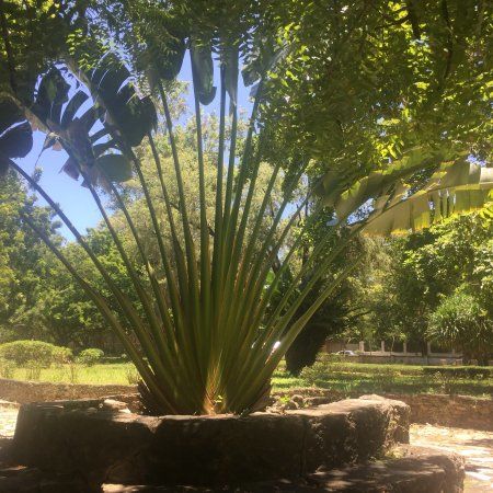 Jardins Botânicos de Dar es Salaam