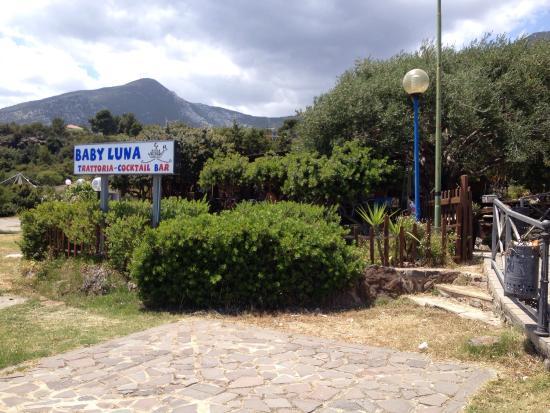 Ristorante Trattoria Bar Babyluna