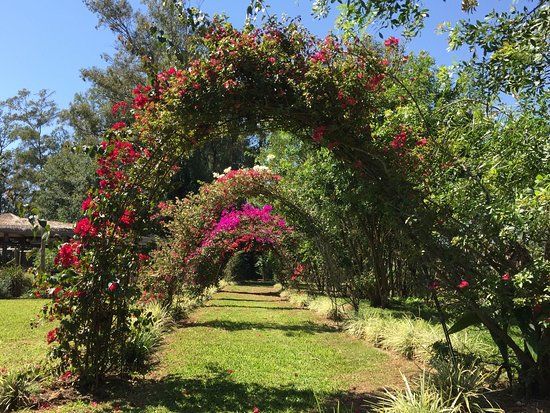 Parque Vila do Café