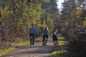Fôret de Rambouillet