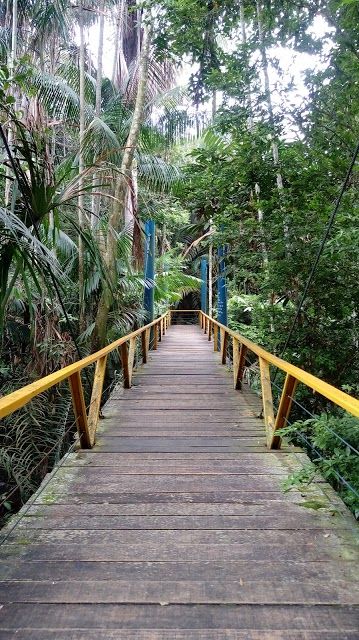 Parque Municipal do Mindu