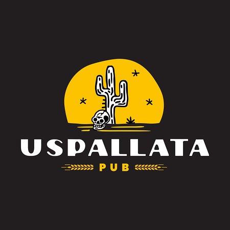 Uspallata Pub