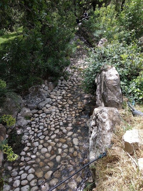 Jardim Botânico de Jerusalém