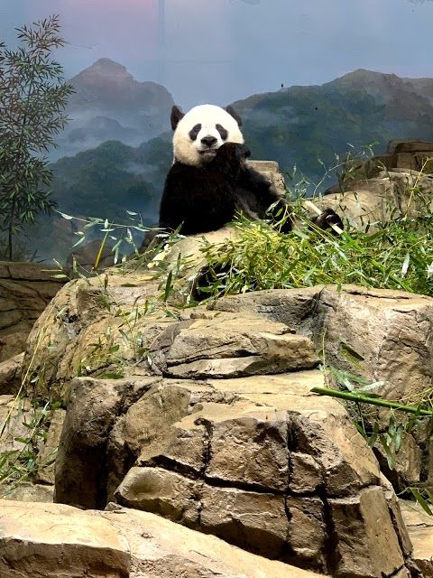 Parque Zoológico Nacional Smithsonian