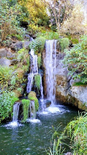 Arboreto e Jardim Botânico do Condado de Los Angeles