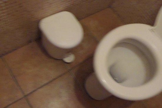 Vongola Restaurant E Bar