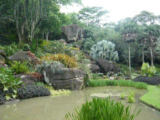 Sítio Roberto Burle Marx