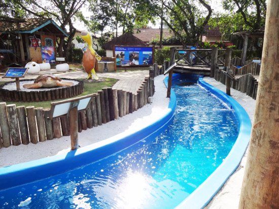 Projeto Tartarugas Marinhas