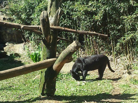 Zoológico de Gramado