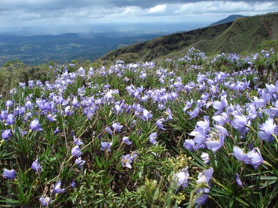 Serra da Moeda