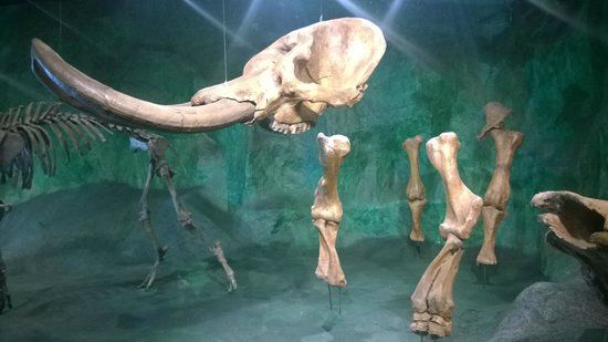 Museu de Ciências Naturais da PUC Minas