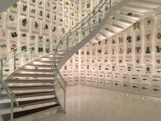 Museu Herculano Pires-Itaú Numismática