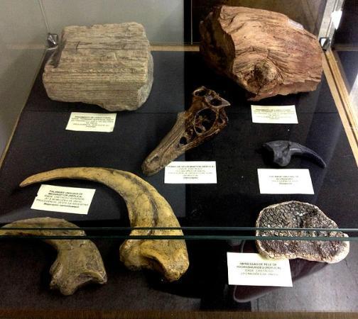 Museu da Ciência Natural da Universidade do Paraná