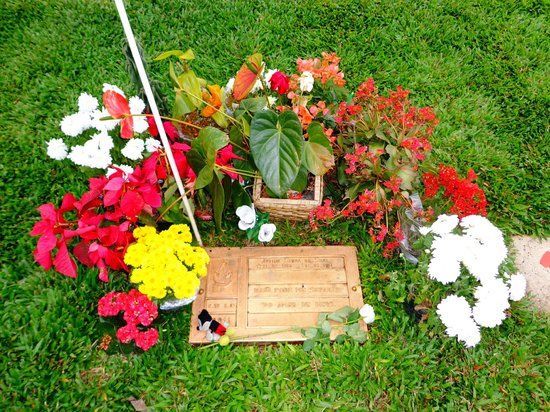 Túmulo De Ayrton Senna