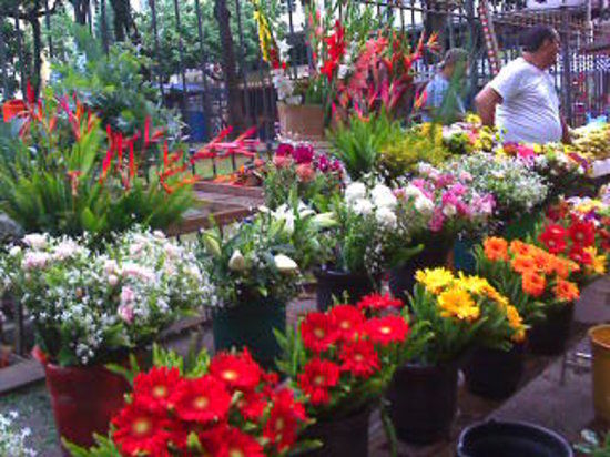 Praça Serzedelo Correia