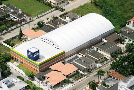 Acervo Ayrton Senna Tributo a um Campeão