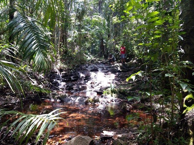 Reserva da Sapiranga