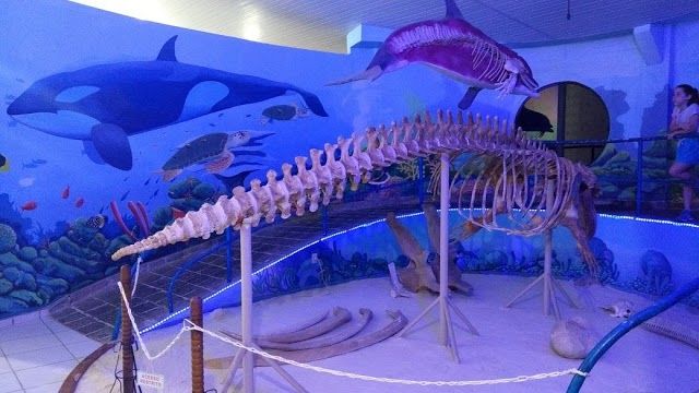 Museu Oceanográfico do IEAPM