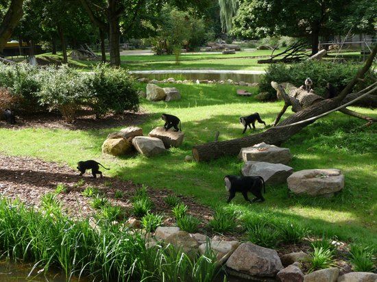 Jardim Zoológico de Dresden