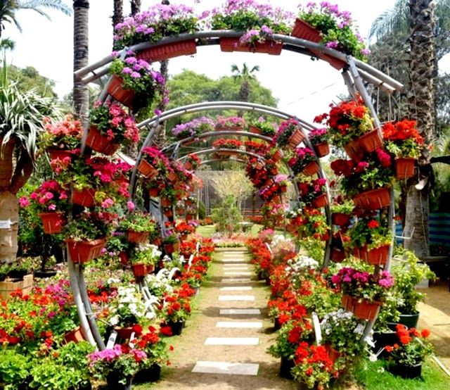 Jardins Botânicos de Orman