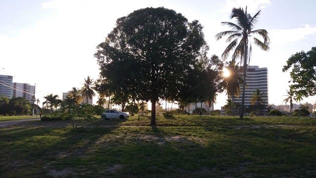 Parque da Sementeira