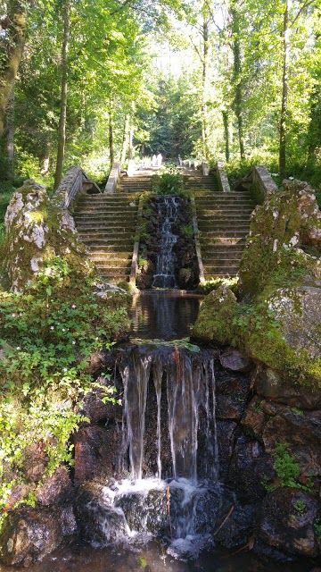 Mata Nacional do Buçaco