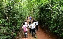 A.R.I.E. Mata de Santa Genebra