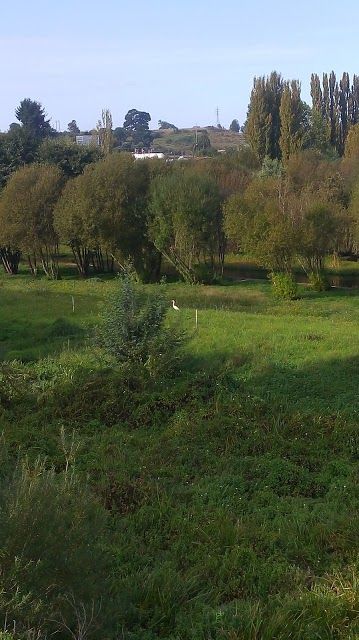 Parque Pleistocénico Chuyaca