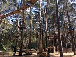 Go Ape at Bracknell