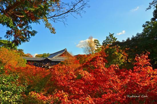 Templo Tofuku-ji