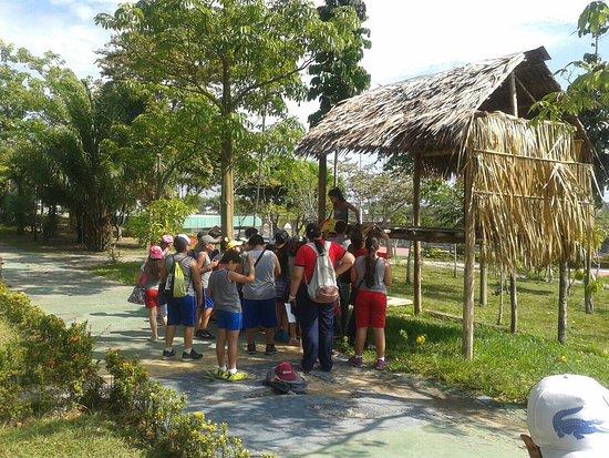 Centro Cultural dos Povos da Amazônia
