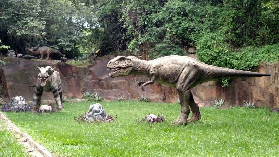 Parque da Rocha Moutonnée