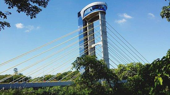 Mirante de Ponte Estaiada