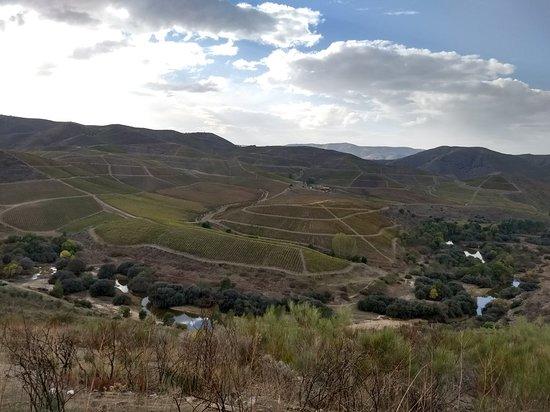 Parque Arqueológico do Vale do Côa