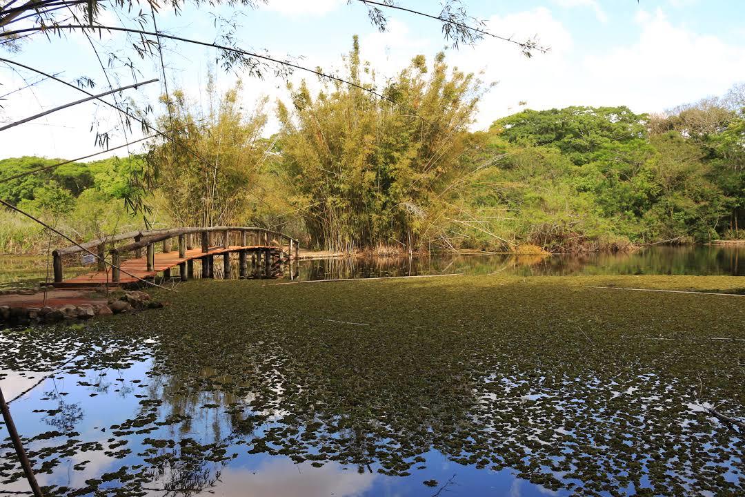 Jardim Botânico de Porto Alegre