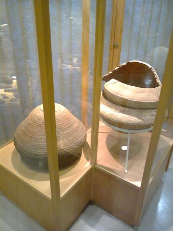 Museu Antropológico Diretor Pestana