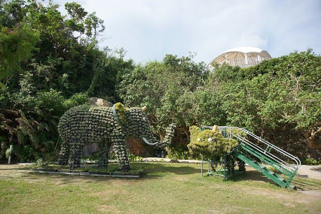 Jardim Zoológico de Okinawa