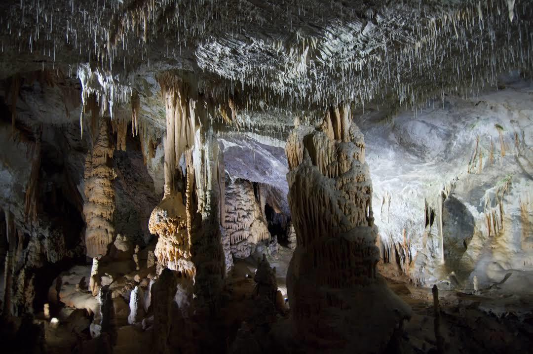 Caverna de Postojna
