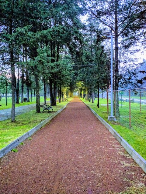 Metropolitano Bicentenario Park