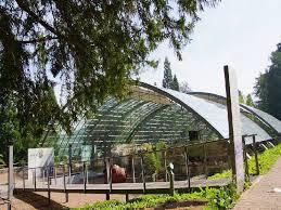 Ruínas das Termas Romanas de Badenweiler