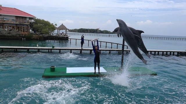Oceanário das Ilhas del Rosario