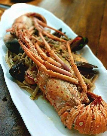 Terra Mia e Pizzaria