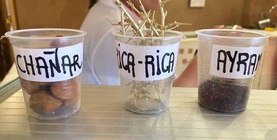 Heladeria Tierra de Sol