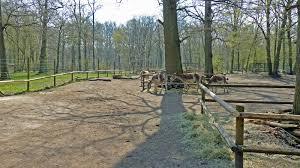 Tierpark Oberwald Karlsruhe