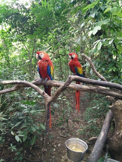 Parque Ecológico de Aluxes