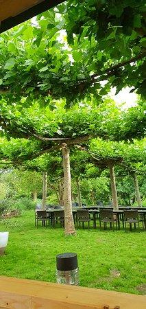 Restaurant Il Belvedere