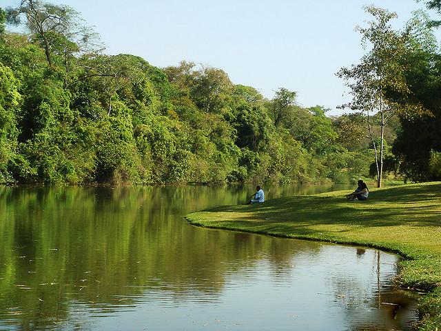 Jardim Botânico