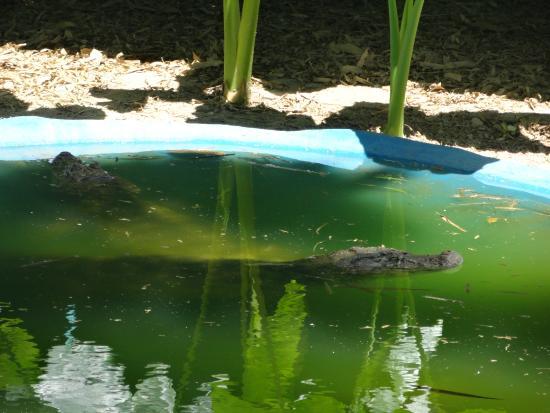 Parque Zoobotânico Getúlio Vargas